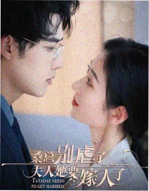 海岸线以北 全集完整版在线观看海报